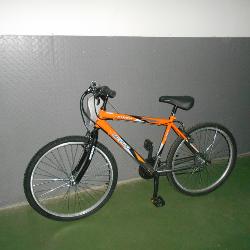 Велосипед Mikado Flash - характеристики и отзывы покупателей.
