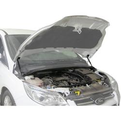 Упоры капота Автоупор Ford Focus 3 V 2011- - характеристики и отзывы покупателей.