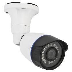 Аналоговая камера Ginzzu HAB-2033P - характеристики и отзывы покупателей.