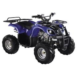 Квадроцикл MOTOLAND ATV 125U - характеристики и отзывы покупателей.